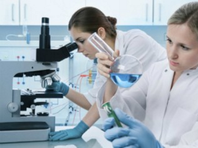 BELGIO – 53 Giovani italiani premiati