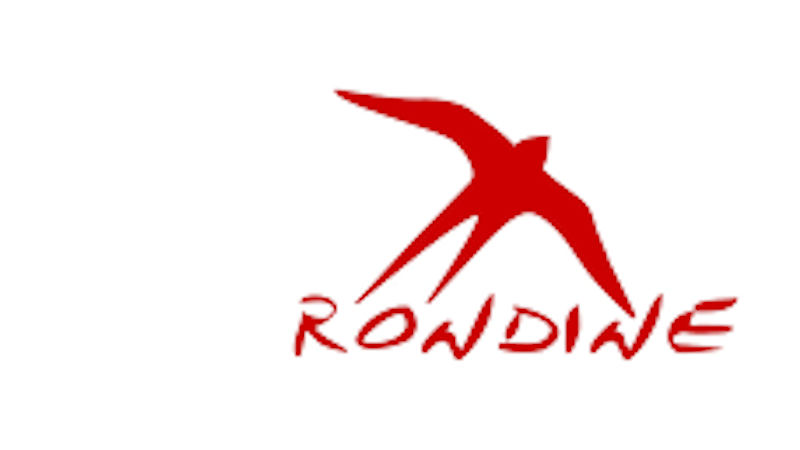 Il Principe Alberto di Monaco