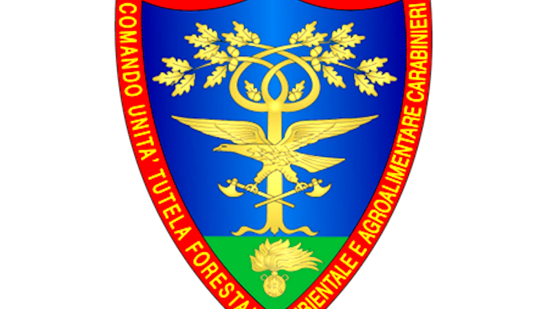 ROMA – “RE-LEAF AND FUTURE CITY”